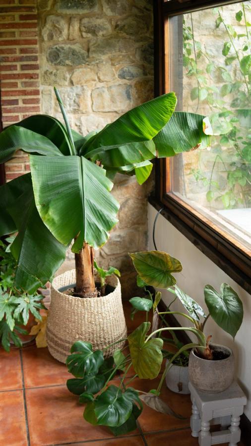 Casa 'Ohana Rioturbio Luaran gambar